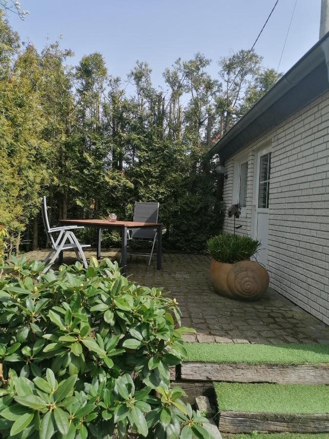 25qm Grosses Ferienhaeuschen 